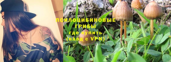 не бодяженный Алексин
