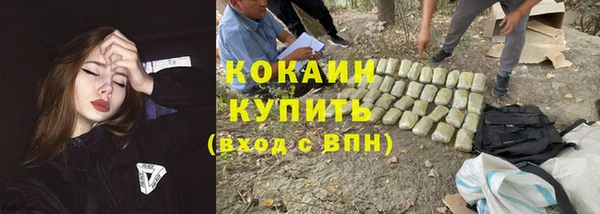 2c-b Алзамай