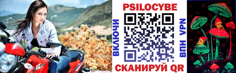 Псилоцибиновые грибы ЛСД МЕГА зеркало Гвардейск где продают