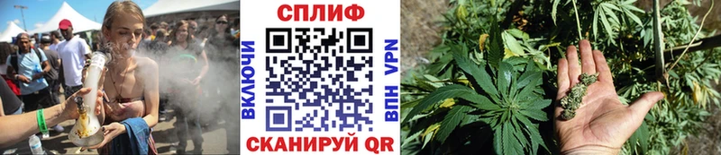 Каннабис сатива как найти закладки Гвардейск